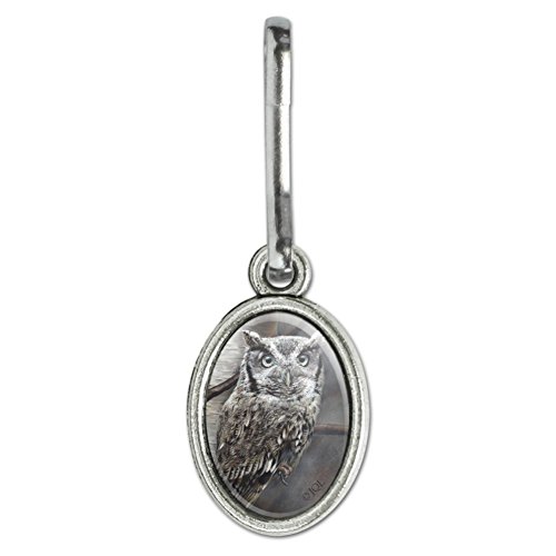 Graphics and More Screech Owl in a Birch Tree Antiqued Oval Charm Clothes Purse Suitcase Backpack Zipper Pull Aid