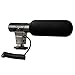 Camera video microphone