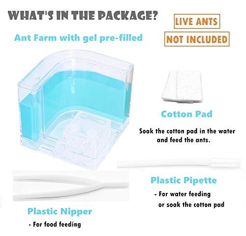 YueYueZou® Ant Factory/Ant Farm