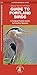 Guide to Portland Birds: A Folding Pocket Guide to Familiar Species (Wildlife and Nature Identification)