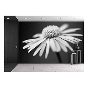 Wall26 - White Daisy on Black Background - Canvas Art Wall Decor - 66"x96"