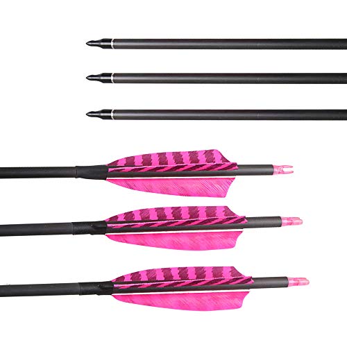 image for Huntingdoor 32-Inch Carbon Arrows with 4-Inch Feather Fletching Replac