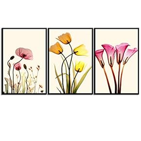 signwin Framed Canvas Wall Art X-Ray Flowers Canvas...