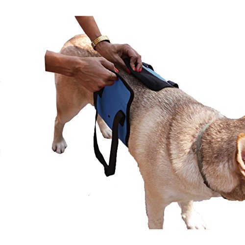 Dog Lift Harness, Ephvan Support Sling Helps Dogs With Weak Legs Stand