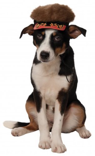 Rubies Costume Company Flame Visor with Spiky Hair for Pets