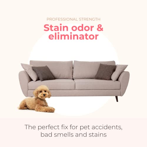 PAWFUME Stain & Odor Eliminator Pet Urine Enzyme Cleaner Enzymatic