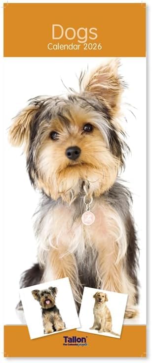 Orbitron 2026 Slim Month To View Spiral Bound Photo Wall Calendar Puppies Kittens Flowers Wildlife (Dogs)