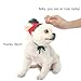HBuir Handmade DIY Pet Dog Santa Hat Christmas Gifts for Cat