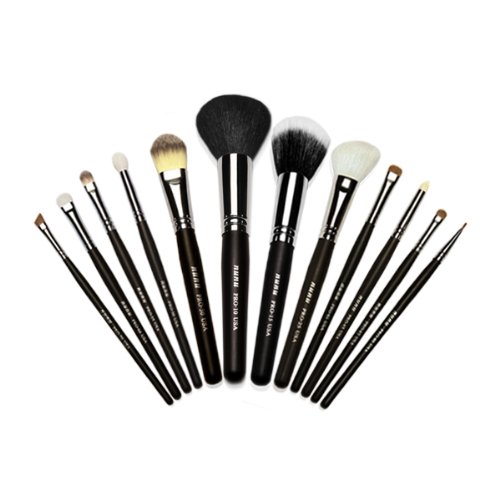 NUNU Makeup Pro Makeup Brush set 12 with Luxury Case