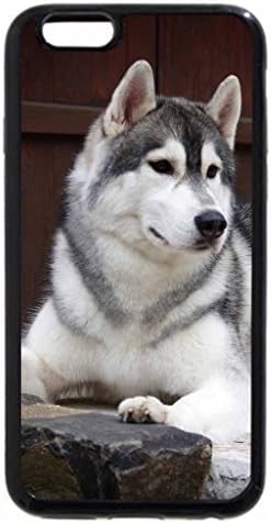 iPhone 6S Plus Case, iPhone 6 Plus Case, Siberian husky