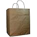 DURO 10x6.75x12 Brown Paper Gift Bags with Handles, Recycled Kraft Brown Paper Shopping Bags with Handles Bulk for Party Favors and DIY - Pack of 250