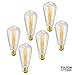 6-Pack Vintage Edison Light Bulbs, 40W E26/E27 Base Dimmable Replacement Vintage Incandescent Light Bulbs, Antique Squirrel Cage Lights, 110V, Pendant Ceiling Chandelier Antique Exposed Filament, HOM