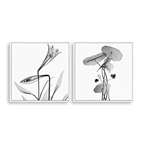 2 Piece Framed Canvas Home Artwork Decoration Transparent Flower Canvas Wall Art for Living Room, Bedroom - 16"x16"x2 Panels