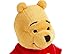 Disney Winnie the Pooh Plush Mini Bean Bag Toy -- 7''
