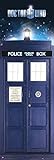 Doctor Who - TV Show Door Poster (The Tardis & Vortex) (Size: 21