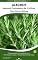 Livro Alecrim: 50 Dicas Práticas de Cultivo : Aprenda a cultivar Alecrim com eficiência: dicas essenciais para vasos e jardins, do plantio à colheita, com resultados ... Aromáticas – Dicas Práticas de Cultivo)