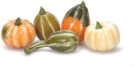 Autumn Inspirations Mixture of Assorted Gourds and Pumpkins Fall Decoration, 12 Piece