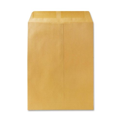 Quality Park Large Format/Catalog Envelopes, Gummed, Brown Kraft, 9 x 12, 250 per Box, (QUA41460)