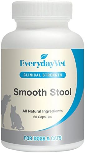 EverydayVet Smooth Stool