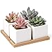 Artificial Succulent Plants Potted - Fake Succulents - Set of 4 - Faux Plants