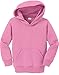 Joe's USA - Toddler Hoodies - Soft and Cozy Hooded Sweatshirts Sizes: 2T, 3T, 4T