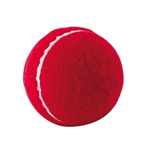 NIVIA Heavy Red Cricket Tennis Hard Ball