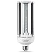 Feit Electric C4000/5K/LED LED Light Bulb, Yard, Yard Light