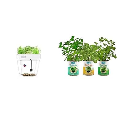 Back to the Roots Water Garden Betta Fish Tank + Garden in a Can Kitchen Herb Variety 3 pack Basil/Cilantro/Mint