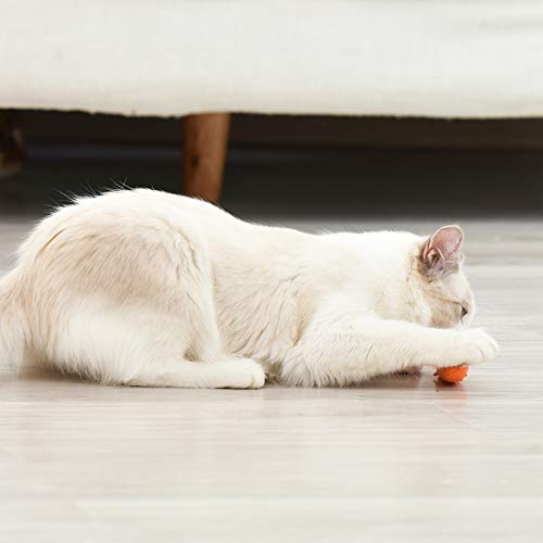 Catnip Toys Interactive Cat Fish Shape Toothbrush Refillable Catnip Bite Resistant Simulated Fish Silicone Teeth Cleaning Chew Pet Supplies for Kitten Kitty Cats Clean in The Dishwasher Blue & Orange