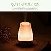Mynt Essential Oil Diffuser Cool Mist 100ml Humidifier 10+ Hours with 7 Colors LED Lights Waterless BPA Free Auto Shut-Off for Home Office Bedroom Baby Room