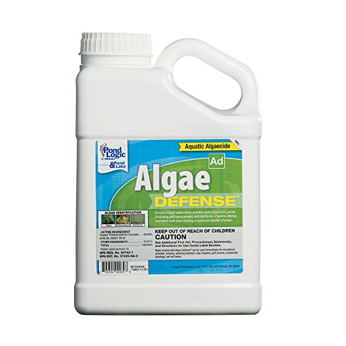 Pond Logic Algae Defense, 1 gal