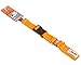 GOGO Pet Products 3/4-Inch Martingale Dog Collar, Medium, Orange