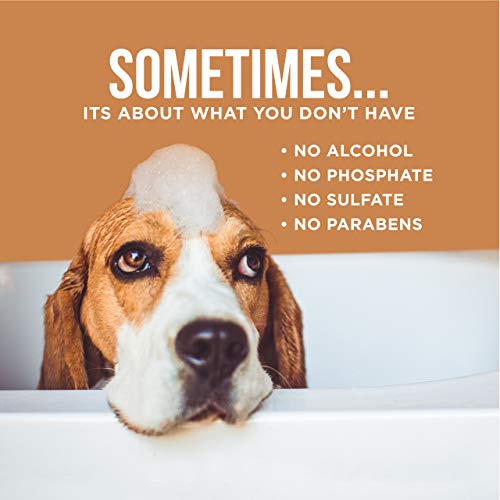 Natural Rapport Dog Cologne Spray - The Only Between Bath Spray Dogs Need, Convenient, Between-Bath Dog Deodorant Spray and Pet Urine Odor Eliminator Perfume (Female, 8 fl oz.)