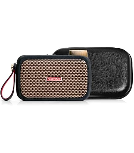 Amazon.com: Positive Grid Spark GO 5W Ultra-Portable Smart Guitar