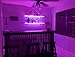 TORCHSTAR Multicolor LED Glass Edge Lighting Kit: 4pcs LED Glass Shelf Lights + Controller + IR Remote + UL Listed Power Adapter for Glass Shelf, Glass Cabinet, Countertop Decorative Lighting