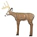 Delta Intruder Buck Target