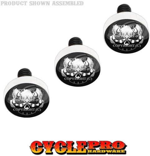 Silver Billet Fairing Windshield Bolt Kit 96-13 Harley FLAME CRACKED SKULL - 115