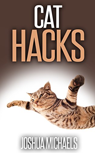 Cat Hacks Tips To Make You And Your Feline Companion Happy - 