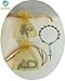 Religious Party Favors for Baptism, First Communion Christening Wedding Great for Sunday School, Easter/Recuerdos Bautismo Primera Comunion Christening Boda Party Favors