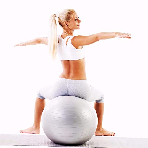 ATIVAFIT Pink Exercise Ball 21.7" Anti Burst Resistant Yoga Ball for Pregnant Women Gym, Home, Office(Gray) - Thumbnail 3