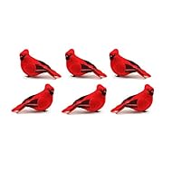 Touch of Nature Red Feather Cardinal Assortment, 6pc - Clip to a Wreath or Use as Ornaments on a Tree