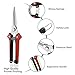 Lenink Pruning Snip,Gardening Hand Pruner Pruning Shear,Trimming Scissor Clipper for Garden Flowers,Vegetables and Herbsthumb 1
