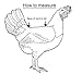Standard Size 5 Pack Hen / Chicken Saddle