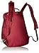 Pacsafe Citysafe CS300 Anti-Theft Compact Backpack, Cranberry