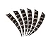 I-Sport 36pcs 4inch Wildfires Turkey Feather Fletching Archery Hunting Arrows Right Wing Feathers …