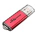 BestRunner 10Pcs USB Flash Drive USB 2.0 Memory Stick Pen Drive USB Storage Thumb Stick 256MB Small Capacity [NOT 256GB] Red