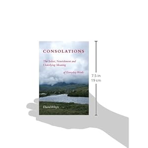 Consolations: The Solace, Nourishment and Underlying Meaning of Everyday Words