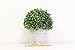 Silk Road Home Artificial Boxwood Topiary Ball Table Top Plant with Decorative Pot 8 inches Tall Realistic Indoor Faux Decor (8 Inches)
