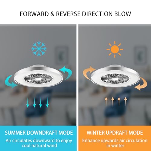 BKZO 60CM LED Ceiling Light with Fan, Ceiling Fan Lights 24 Levels Wind Speeds, Stepless Dimming Light, Modern Fan Lighting for Living Room, Dining Room, Bedroom, Office, 3000-5500K, Silver Frame