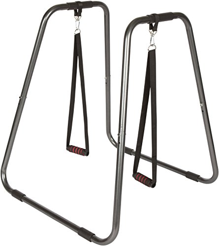 Trademark-Innovations-Fitness-Training-Dip-Station